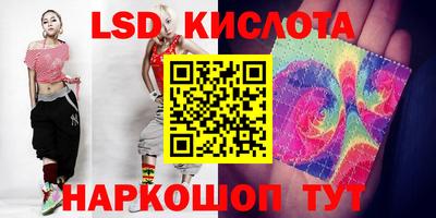 индика Ставрополь