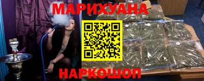 индика Ставрополь