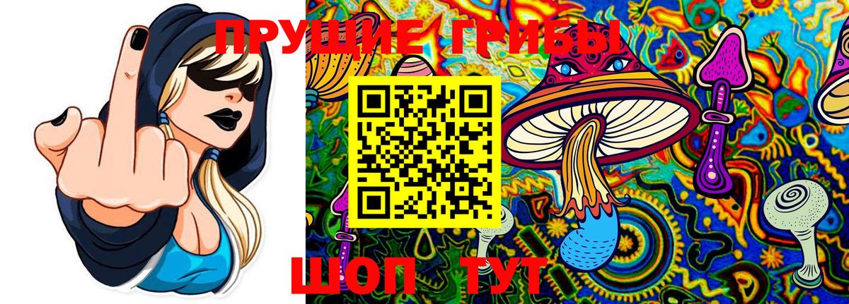 Псилоцибиновые грибы Psilocybe Рассказово